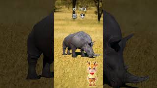 Learn Wild Animals in Chinese：Lets guess what this is｜儿童故事｜中文学习｜中文故事｜ [upl. by Beal]