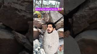 stone family fillings understand please lakshaymimivlogs vidieo shorts viral subscribe [upl. by Boycey]