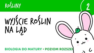 Rośliny 2  Wyjście roślin na ląd  wstęp do roślin lądowych  biologia do matury liceum rozszerzona [upl. by Corvese]