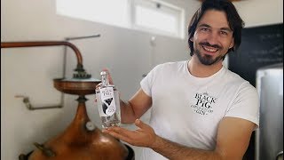 Black Pig Gin  Rota Vicentina [upl. by Vokay]