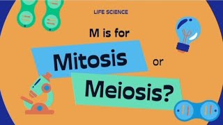 Mitosis Vs MeosisMitosis amp Meosis DifferencesCell cycleScience GkBiology LecturesCell Division [upl. by Madson]