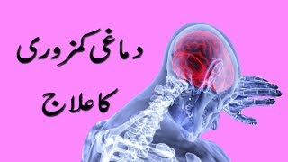 Dimag Ki Kamzori Ka Ilaj  Dimagi Taqat Barhain  Brain Weakness Treatment [upl. by Rebeka]