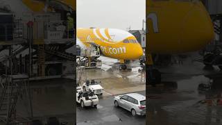 FlyScoot Boeing 787 Dreamliner at KIX Osaka International airport [upl. by Eilac388]