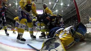 HC DAVOS fan song [upl. by Glori]