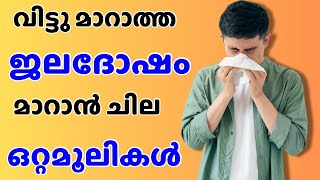 jaladosham maaran ottamooli  ജലദോഷം മാറാൻ ഒറ്റമൂലി  ottamooli homeremedies [upl. by Fiedler]