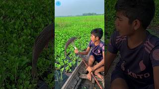 😲 Best Boat Fishing With Kotch 🌻part 145boatfishing viral shorts fish naturalfishingbigfish [upl. by Yorel]