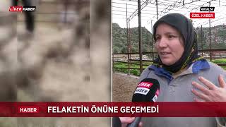 Sel hayvanları telef etti [upl. by Heim]