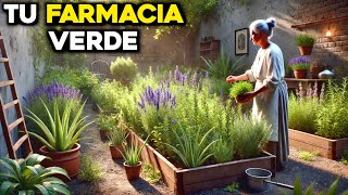 Las Mejores Plantas Medicinales para Tu Huerto en Casa [upl. by Hanny621]