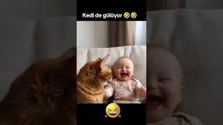 Kedi de gülüyor 🤣🤣Gülme Terapisi🤣Kanalıma Abone olmayı unutmayın😸😻eğlencelivideolar kedi komik [upl. by Hahnert]