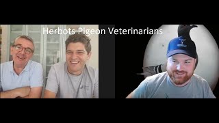 Raf and Kobe Herbots Pigeon Veterinarians  Belgium [upl. by Cammi]