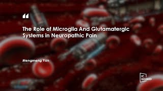 ICBioMed 2023The Role of Microglia And Glutamatergic Systems in Neuropathic Pain [upl. by Llerad]