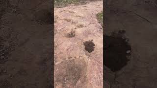 Ouray Dinosaur Trackway [upl. by Letsirhc]