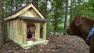 Pete Nelson Builds the Ultimate Dog House  Treehouse Masters [upl. by Eiramlehcar614]