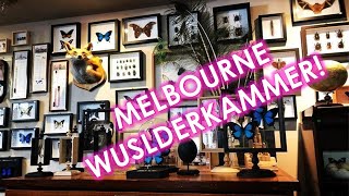 WUNDERKAMMER MELBOURNE [upl. by Malliw]