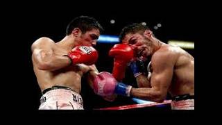 ANTONIO DEMARCO VS JORGE LINARES  FULL FIGHT HIGHLIGHTS TKO [upl. by Fatma]