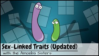 Punnett Squares and SexLinked Traits UPDATED [upl. by Marcela105]