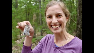 New UMBS Researcher Engages Students in Study of Mouse Parasites in Forest Ecosystems [upl. by Elsbeth425]