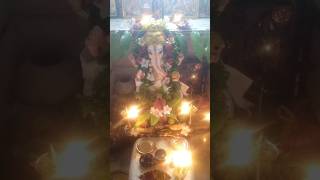 Boppa ji Ganapathi bappa jaibologaneshmaharajki 🙏🙏🌺 [upl. by Nilyahs]