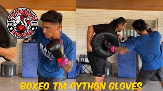 PUNCH SHIELD TRAINING Boxeo TM Torres Medina Python Boxing Gloves [upl. by Attiuqihc]