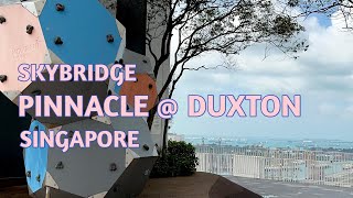 Singapore  Pinnacle  Duxton Skybridge Skygarden Skypark Sky Bridge Hidden Gem [upl. by Efinnej717]