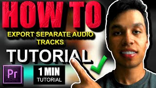 How to Export Separate Audio Tracks Premiere Pro Tutorial [upl. by Pepi913]