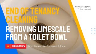 How to Easily Remove Limescale from Under the Water Line in Your Toilet Bowl [upl. by Ladnor]