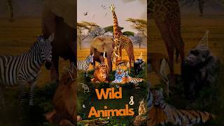 Names of 10 wild animals in English  wild animals names learning for kidsshortvideo kids [upl. by Teiluj]