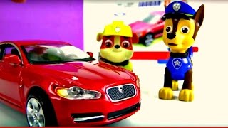 Patpatrouille construit une Jaguar Vidéo éducative pour les enfants [upl. by Britton856]