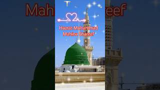 Labaik ya Rasool allah madinasharifnaatshirts videos trending shots wairalshorts ytshorts [upl. by Fortunna]