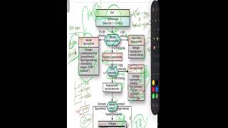 Hyponatremia MADE EASY CAUSE GB [upl. by Carine]