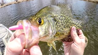 Ice Out Fishing For Spring Crappies [upl. by Aigneis]