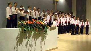 Lilium ЛилиумBoys choir Dzvinochok [upl. by Drofyar]