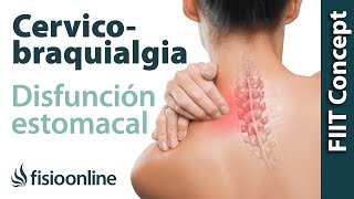 Cervicobraquialgia Izquierda por disfunción de estómago  Plantas medicinales y remedios naturales [upl. by Nelda795]