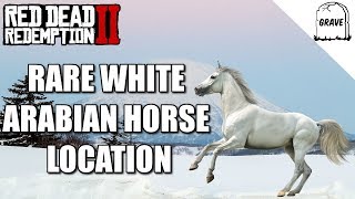 Rare White Arabian Horse Location Red Dead Redemption 2 [upl. by Nivaj]