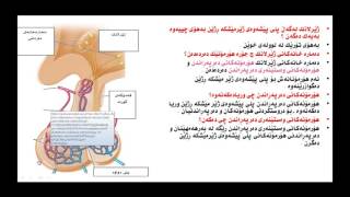 Zindawarzany 12 Bandi 5 karti 2 wanay 1 [upl. by Acissaj]