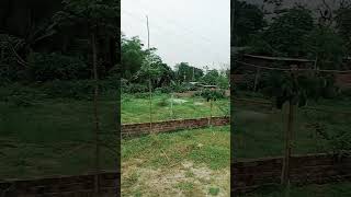 Ready Plot Sale in Dhakaplot sale in purbachalland sale in dhakacitypropertydevloperhousing [upl. by Morice]