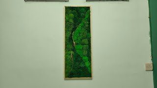 Moss wall vertical diy lumut abadi membuat hiasan dinding aesthetic moss frame moss preserved [upl. by Wardlaw]