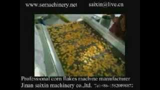 corn flakes machine india [upl. by Hassin]