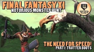 Final Fantasy XI Notorious Monster Hunt  Simurgh [upl. by Cordula]