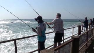 Shad fishing Uvongo pier 2014 09 04 [upl. by Nimzaj260]