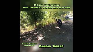 890 sqm Lot For sale Bamban Tarlac  with DAR DESCRIPTION [upl. by Harilda]