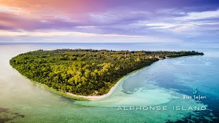 Introducing Alphonse Island [upl. by Binah32]