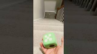 Ringtone evolution balls dice funnyvideo viral trending fyp [upl. by Plank]