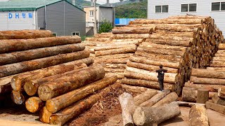 Wooden Furniture Mass Production Factory Wood Couch Manufacturing Process [upl. by Buskus]