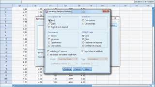 betrouwbaarheid toetsen in SPSS interne validiteit [upl. by Emsoc]