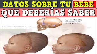 Datos sobre tu bebe que debes saber [upl. by Anikas]