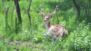 Bieszczady 2024 [upl. by Noramac570]