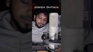 Adaraye Geethaya 🤍 by malick perera acoustic cover by Nalin J sinhalacoversongs music shorts [upl. by Devitt261]