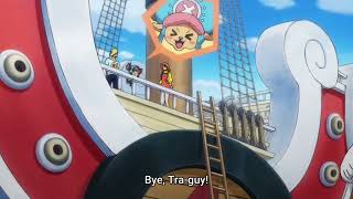 Trafalgar Law Ignoring Chopper amp End of Alliance [upl. by Carin]