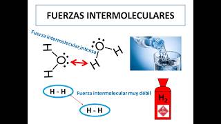 Fuerzas intermoleculares [upl. by Otila949]